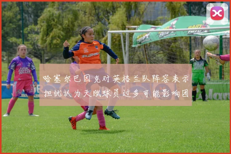 哈塞尔巴因克对英格兰队阵容表示担忧认为天赋球员过多可能影响团队合作